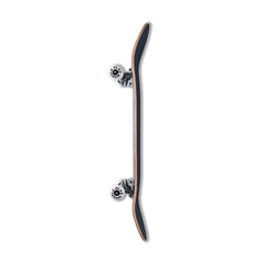 Skate Completo Plas Logo Mini Lienzo